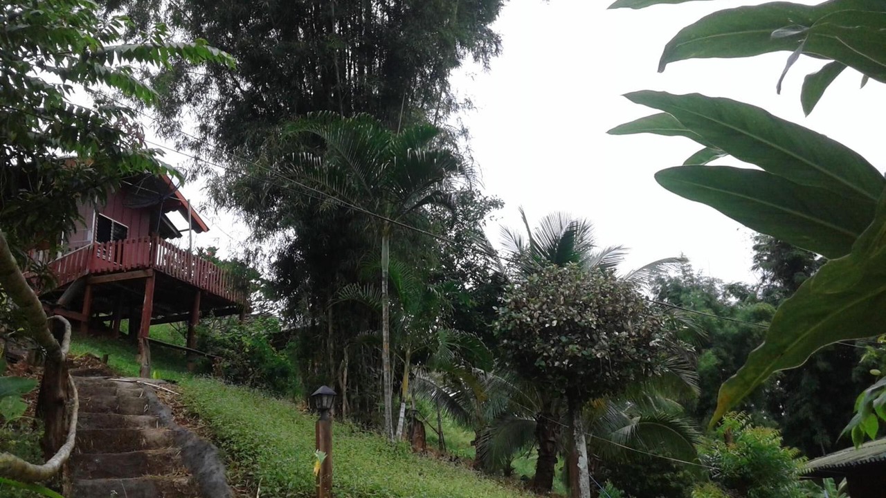 Photo of Outdoor in Samoeng