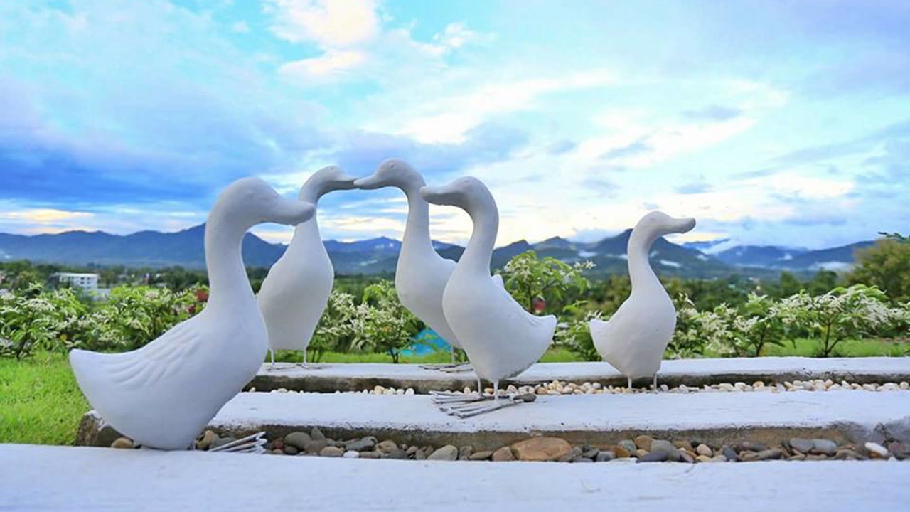 Photo of Outdoor in Pua