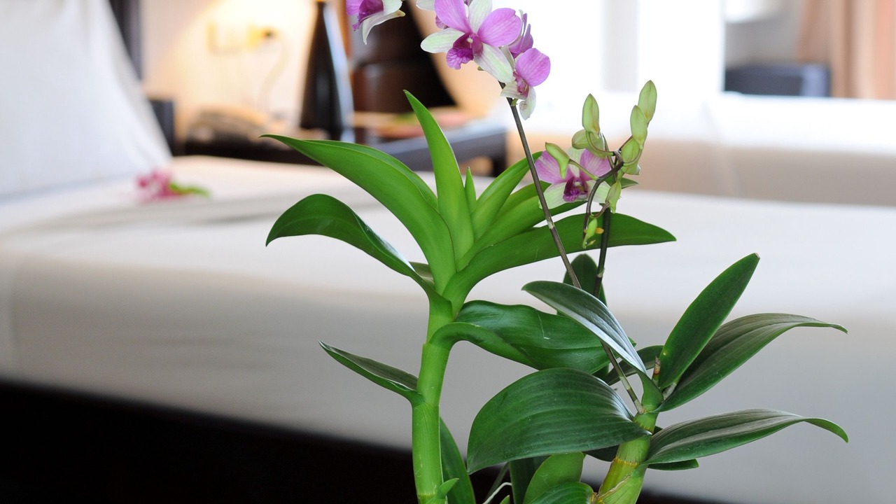 Photo of Patio Balcony in Chanthaburi
