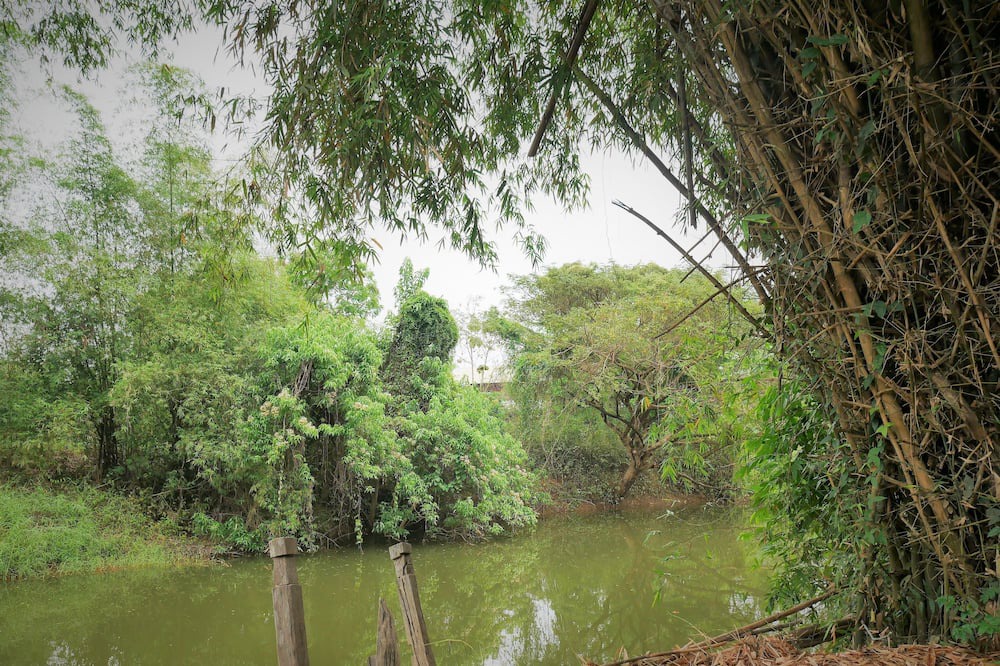 Photo of Outdoor in Sawankhalok