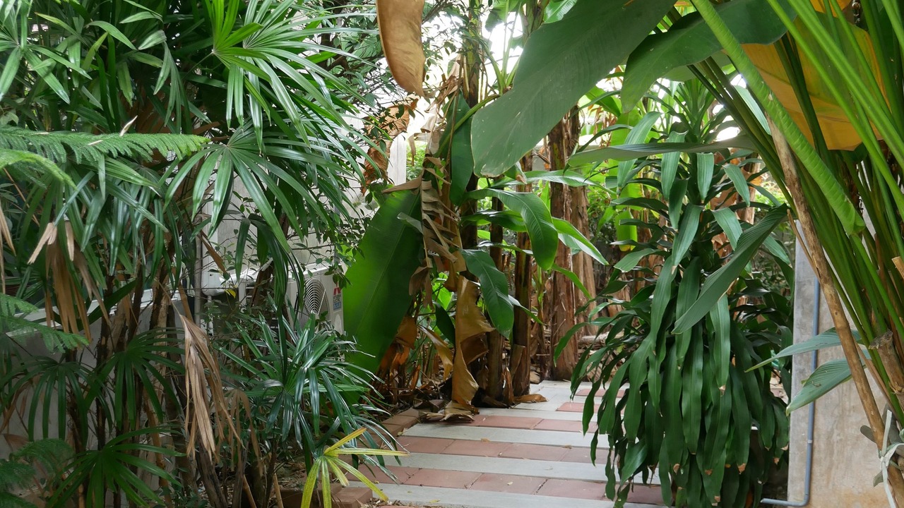 Photo of Outdoor in Tha Pho