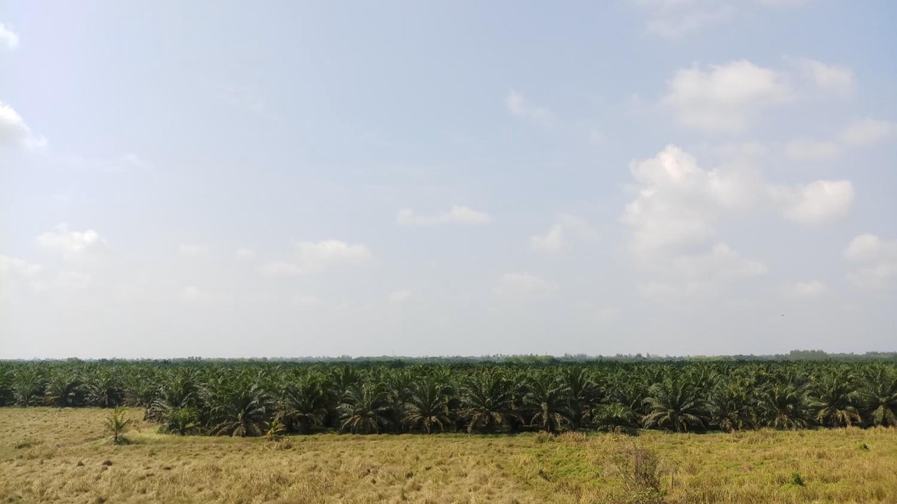 Photo of Outdoor in Phunphin