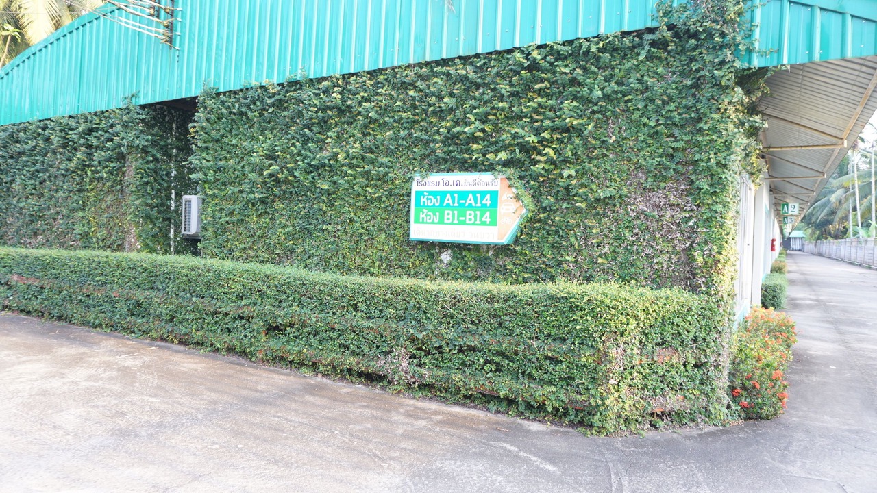 Photo of Outdoor in Chumphon