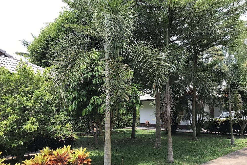 Photo of Outdoor in Pak Phli