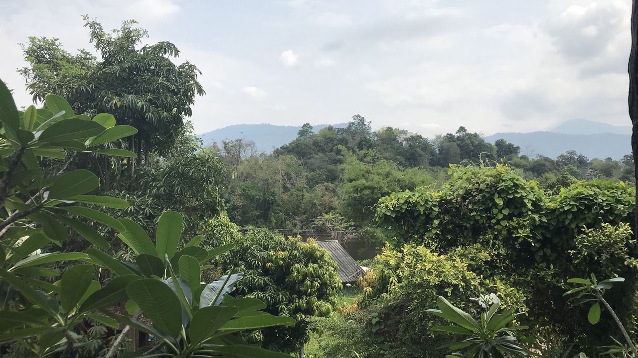 Photo of Others in Nakhon Nayok