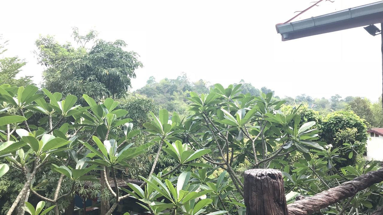 Photo of Others in Nakhon Nayok