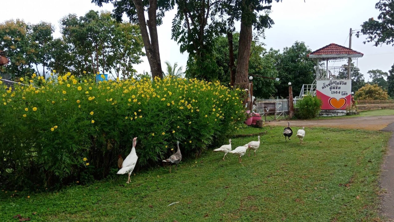 Photo of Outdoor in Khun Yuam