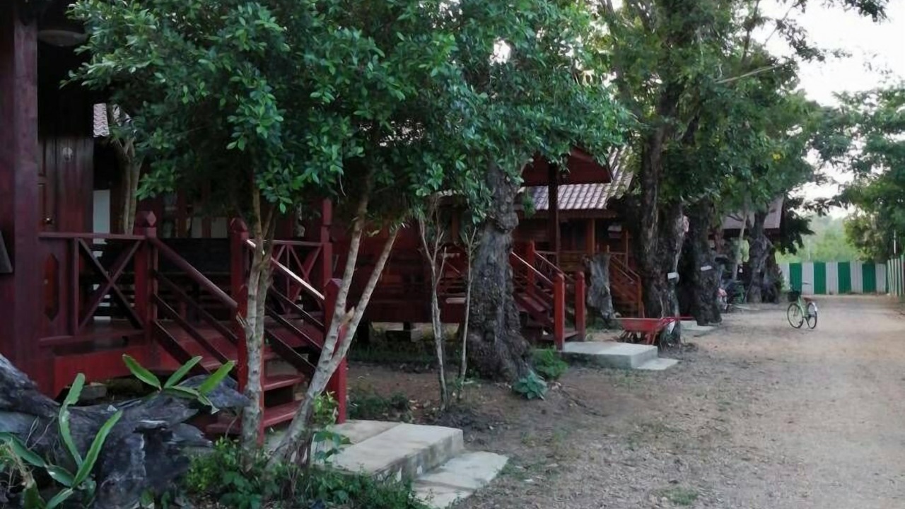 Photo of Outdoor in Den Chai