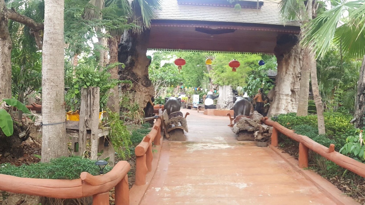 Photo of Outdoor in Den Chai