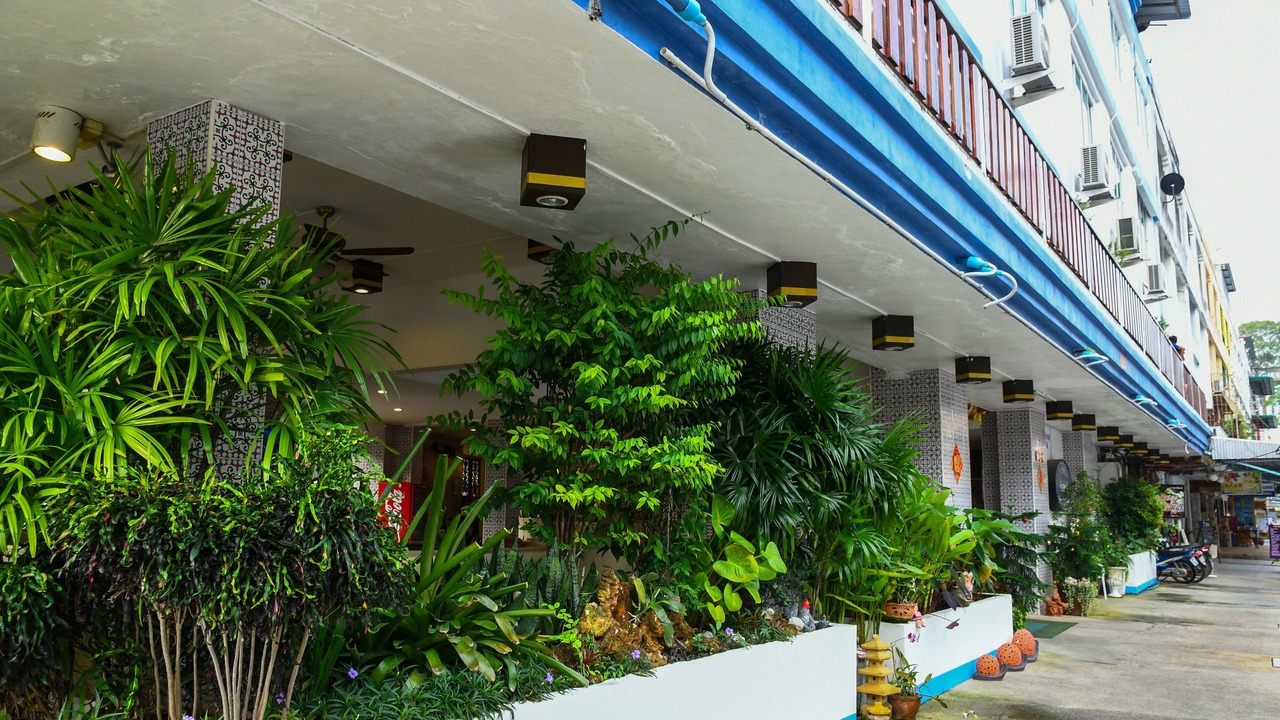 Photo of Outdoor in Downtown Krabi