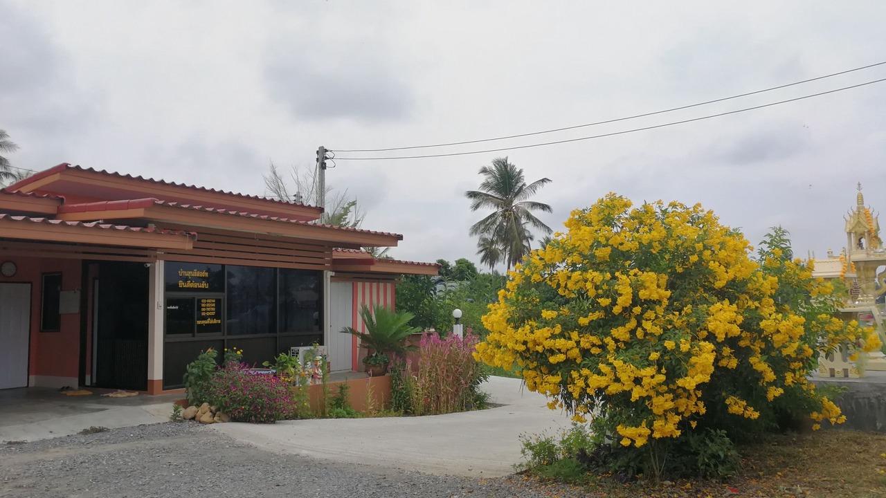 Photo of Others in Kui Buri