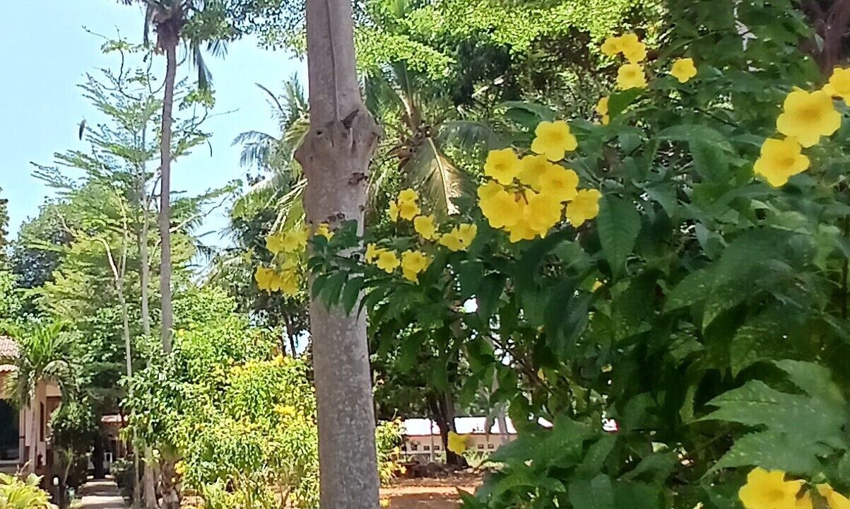 Photo of Outdoor in Ko Lanta