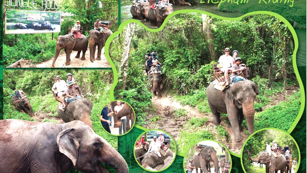 Photo of Outdoor in Ko Lanta