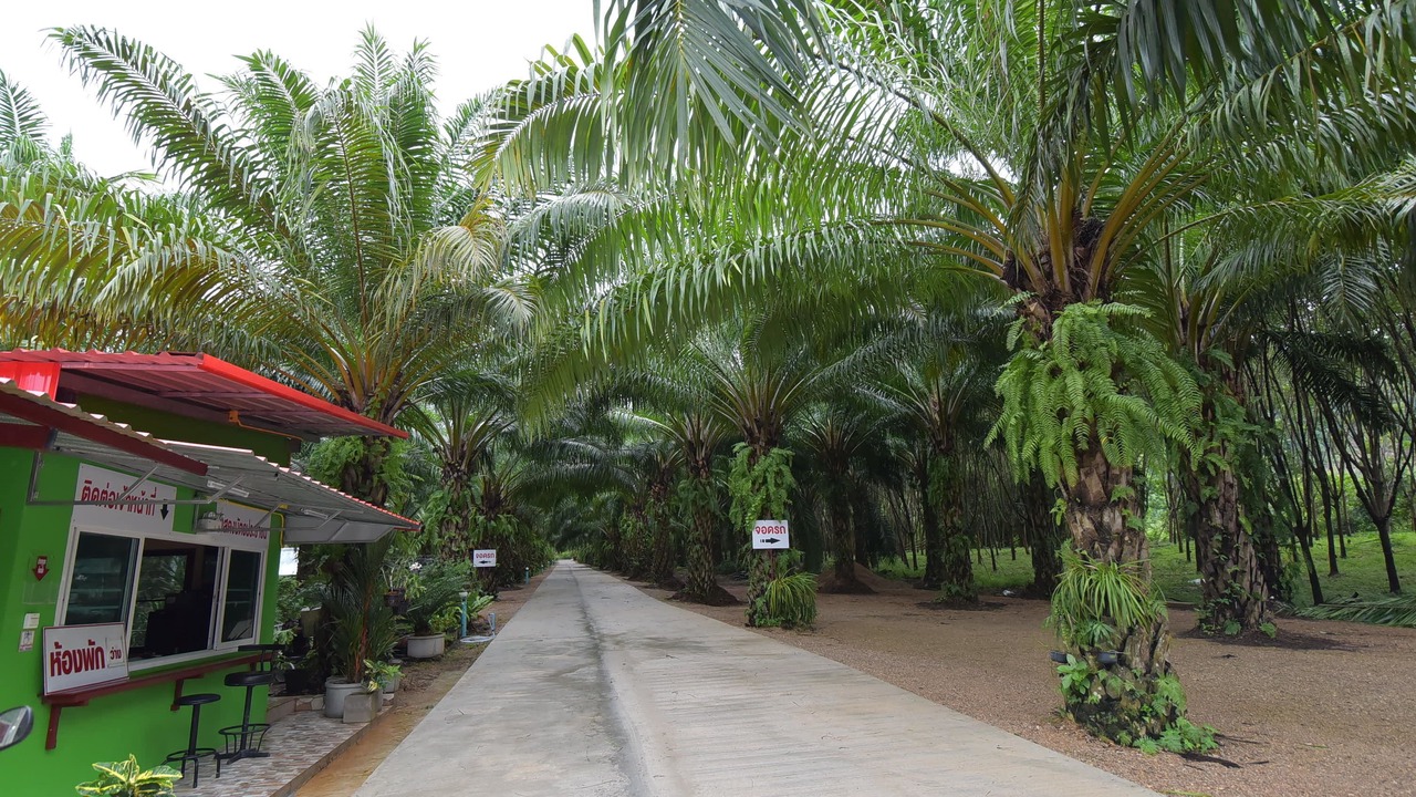 Photo of Outdoor in Krabi