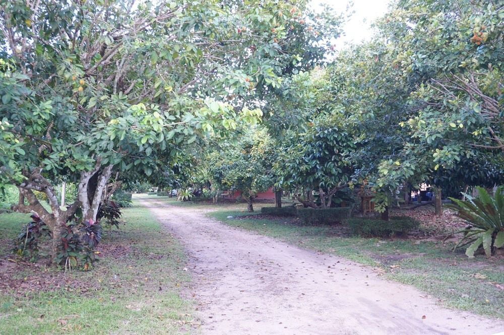 Photo of Outdoor in Ranong