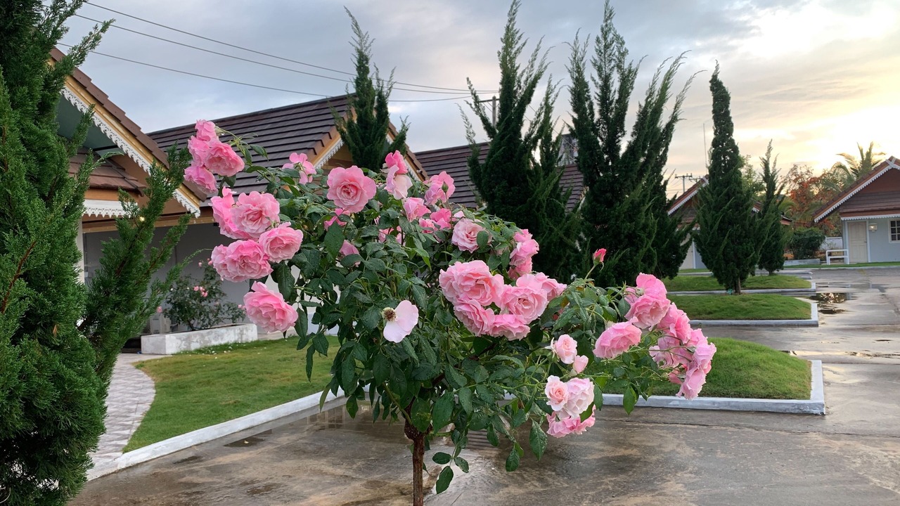 Photo of Outdoor in Li