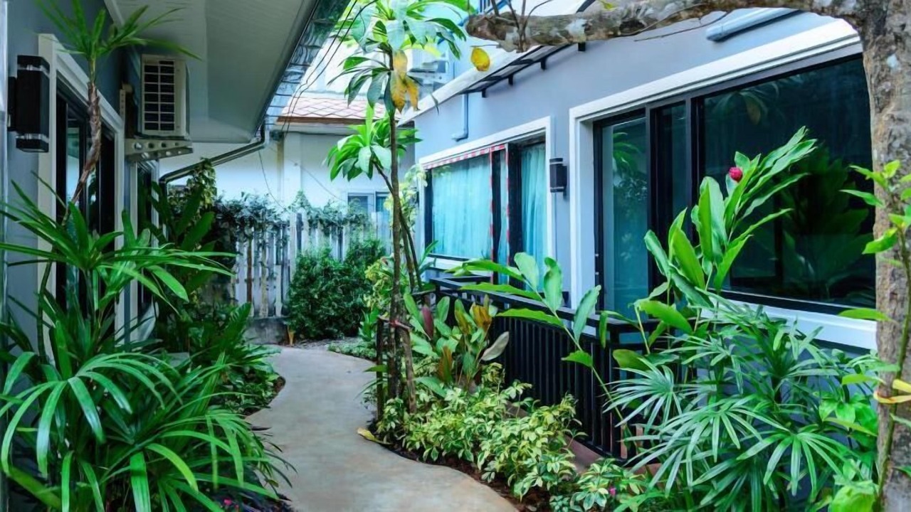 Photo of Outdoor in Sai Thai