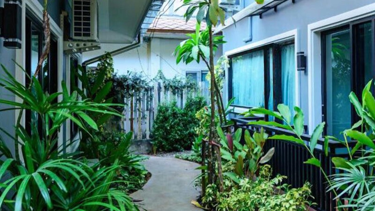 Photo of Outdoor in Sai Thai
