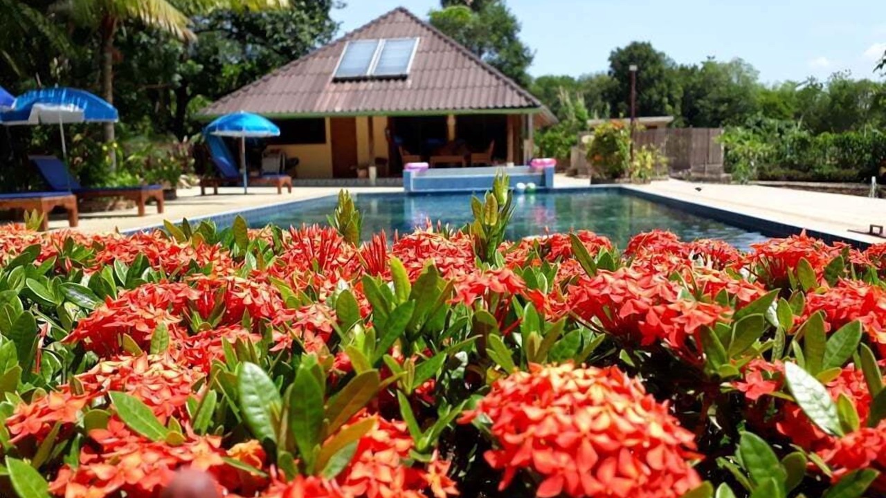 Photo of Outdoor in Sanamchai