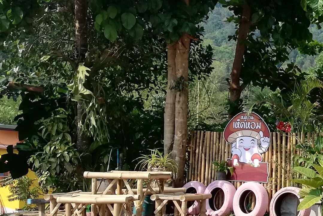 Photo of Outdoor in Mae Tha