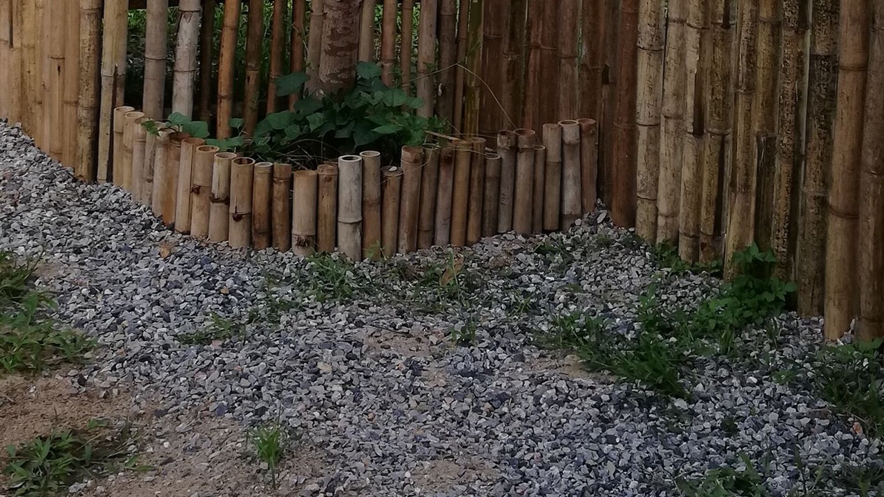 Photo of Outdoor in Mae Tha