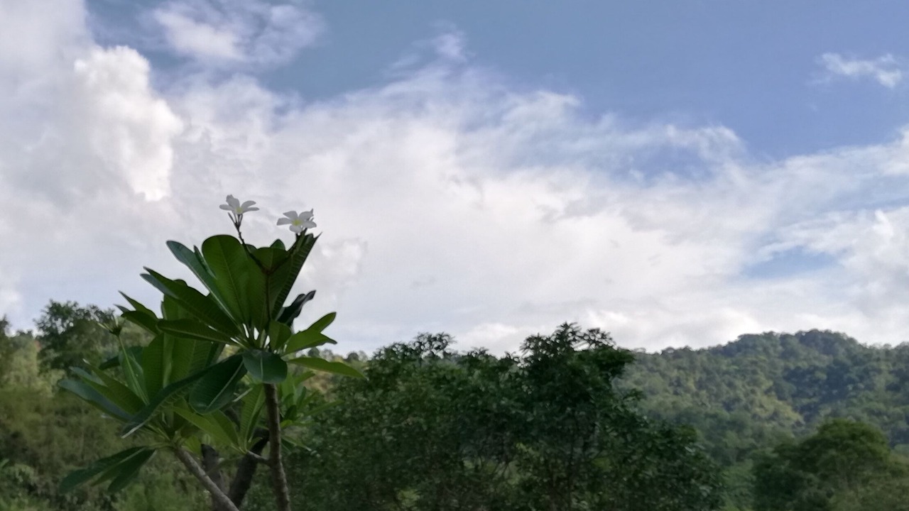 Photo of Outdoor in Mae Tha