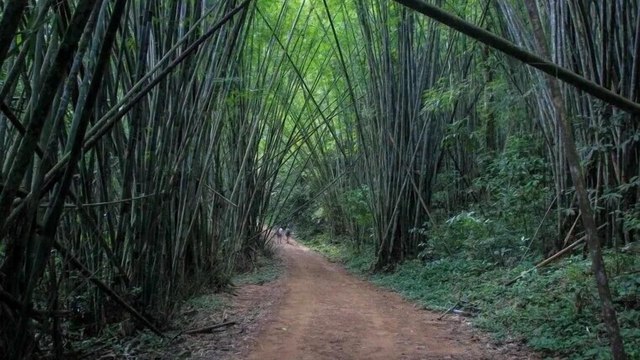 Photo of Outdoor in Khlong Sok
