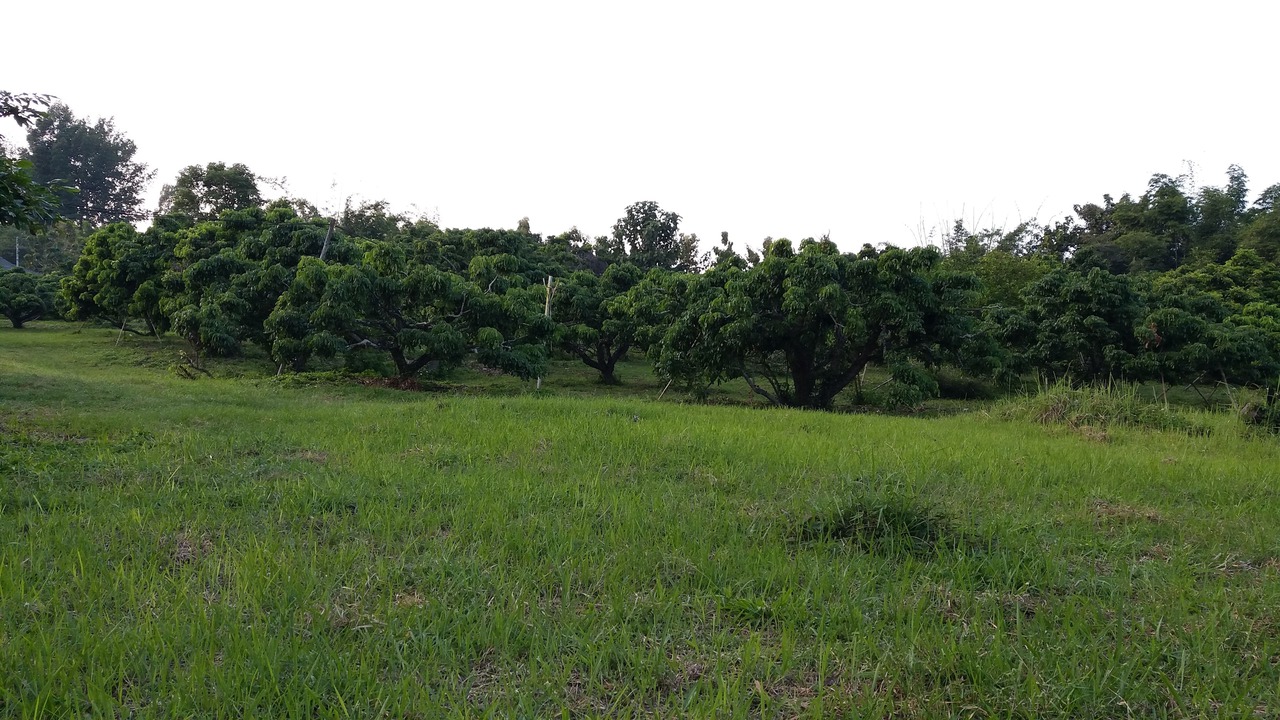 Photo of Outdoor in Ban Thi