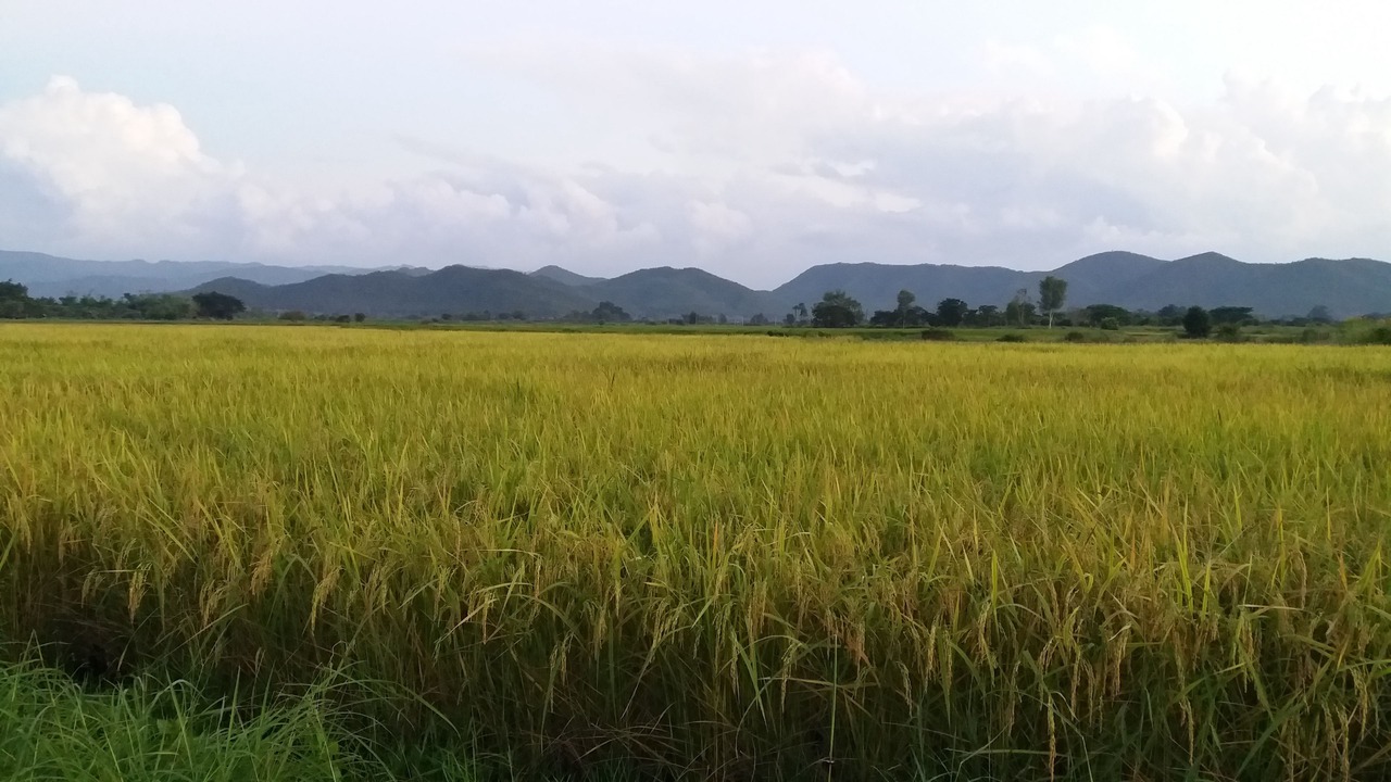 Photo of Outdoor in Ban Thi