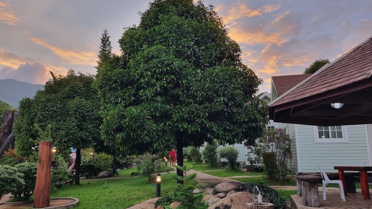 Photo of Outdoor in Makham