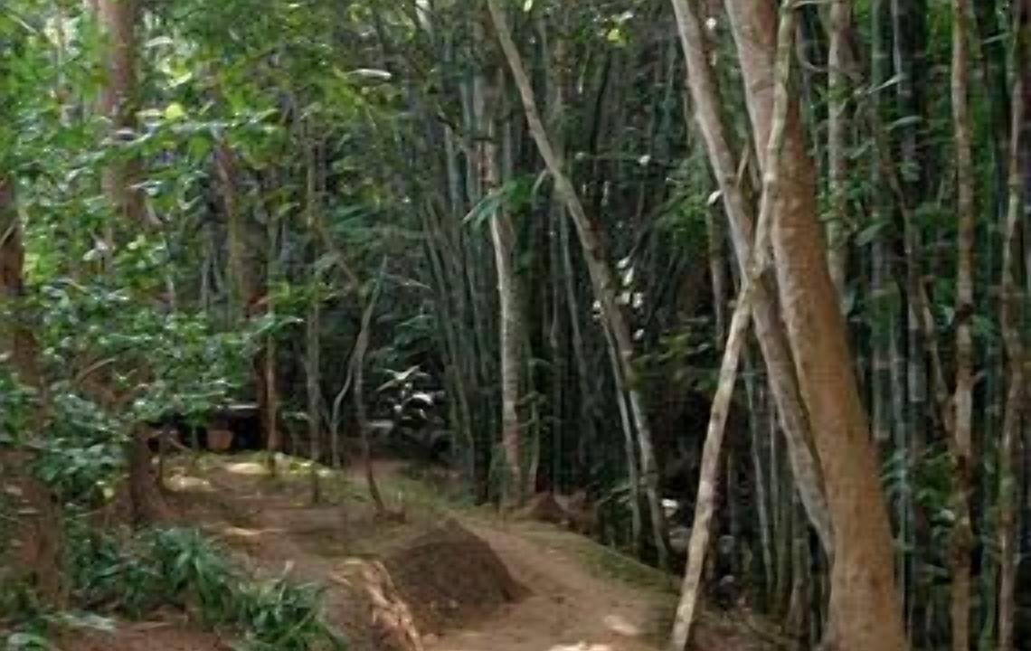 Photo of Outdoor in Chong Kham