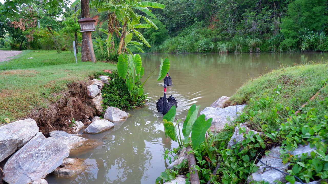 Photo of Others in Mae Chan