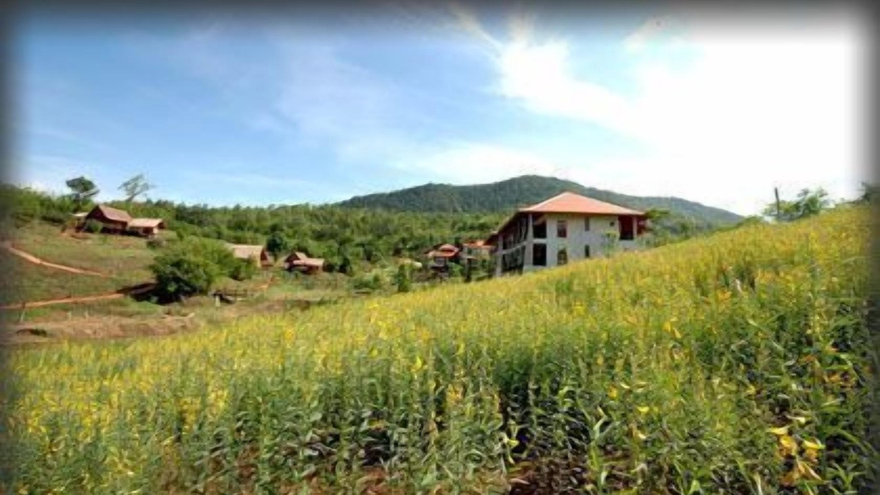 Photo of Outdoor in Dan Sai