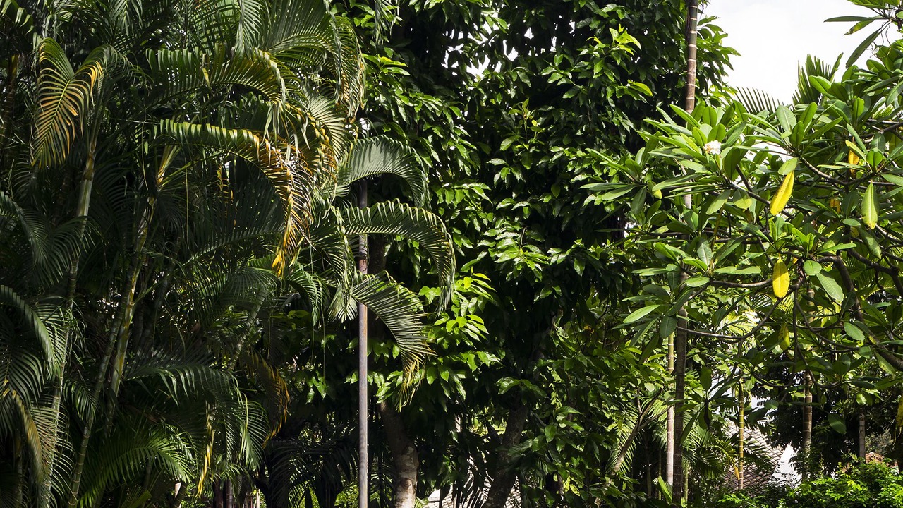 Photo of Outdoor in Nong Kwai