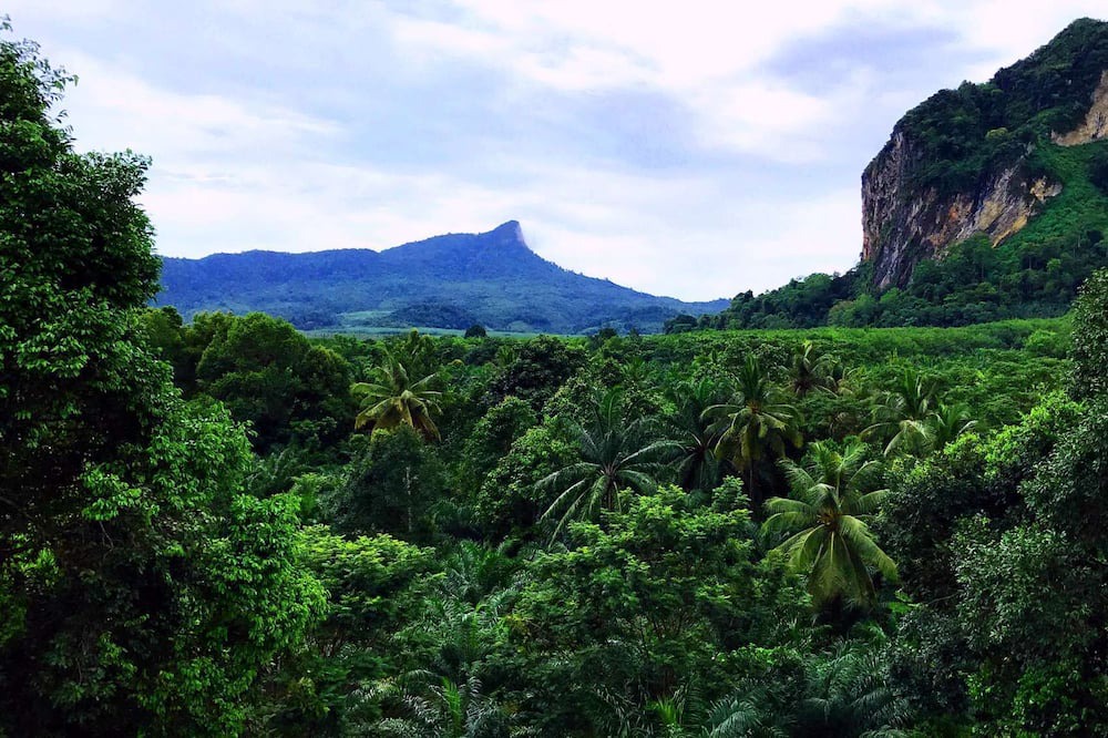 Photo of Others in Ao Nang