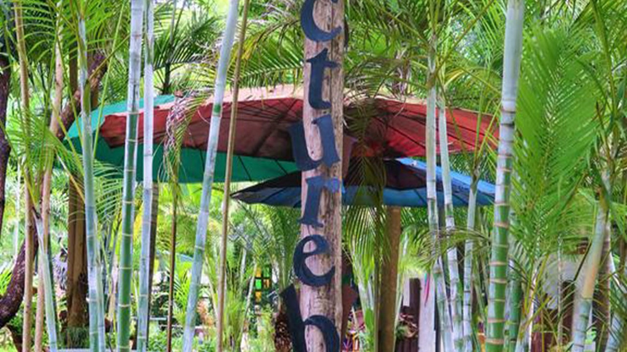 Photo of Outdoor in Mae Sot