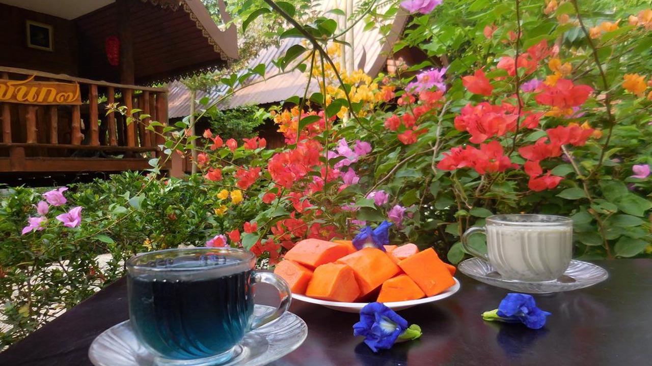 Photo of Others in Phitsanulok