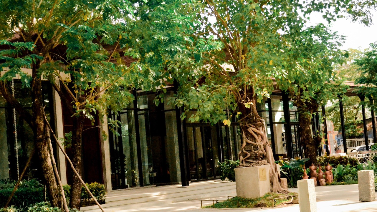 Photo of Outdoor in Downtown Siem Reap