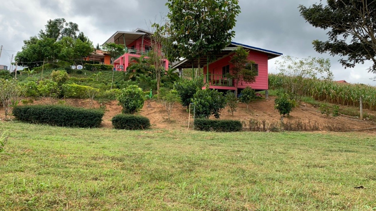 Photo of Outdoor in Khao Kho