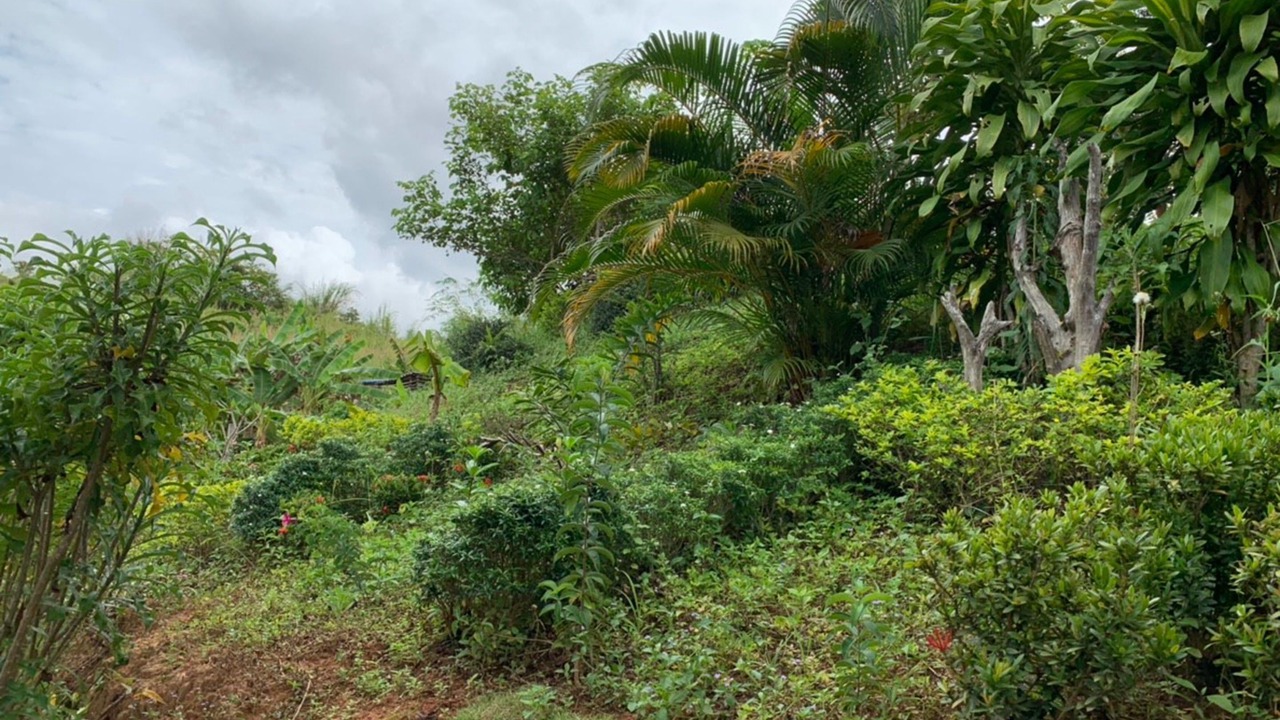 Photo of Outdoor in Khao Kho