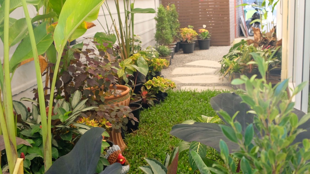Photo of Outdoor in Chiang Rai