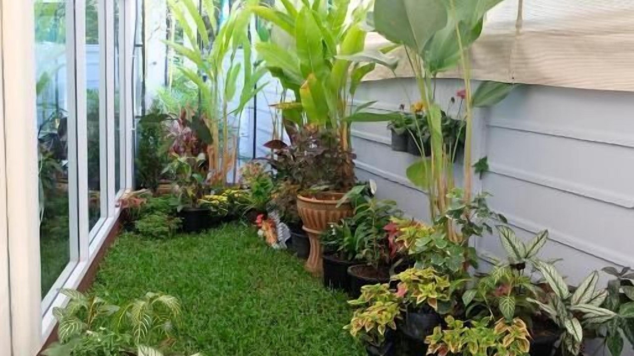 Photo of Outdoor in Chiang Rai