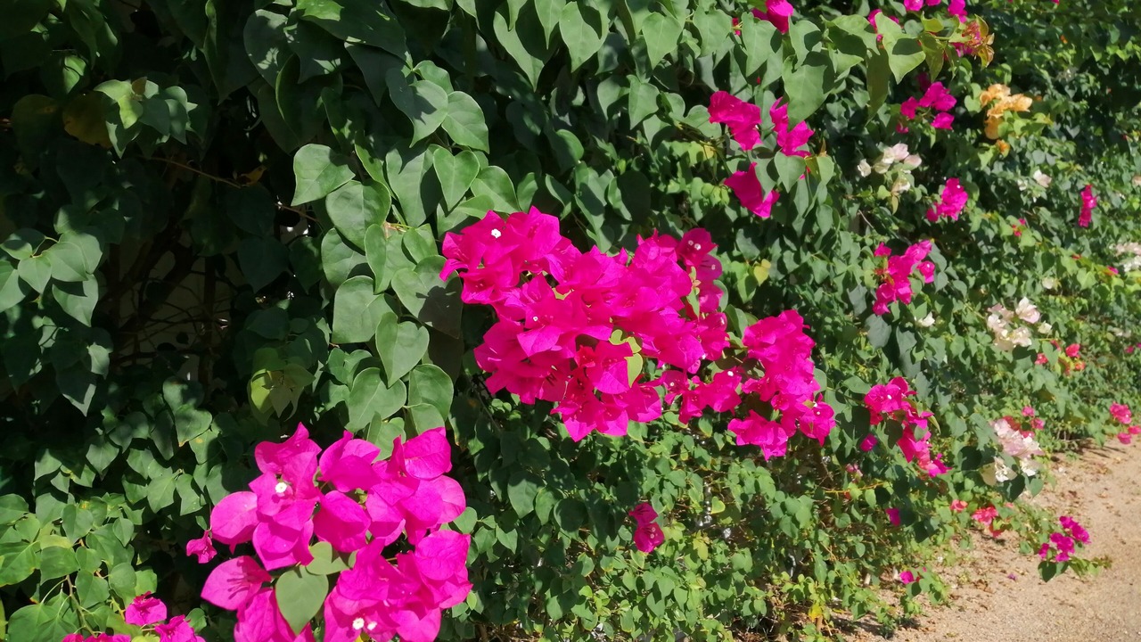 Photo of Outdoor in Nong Thale