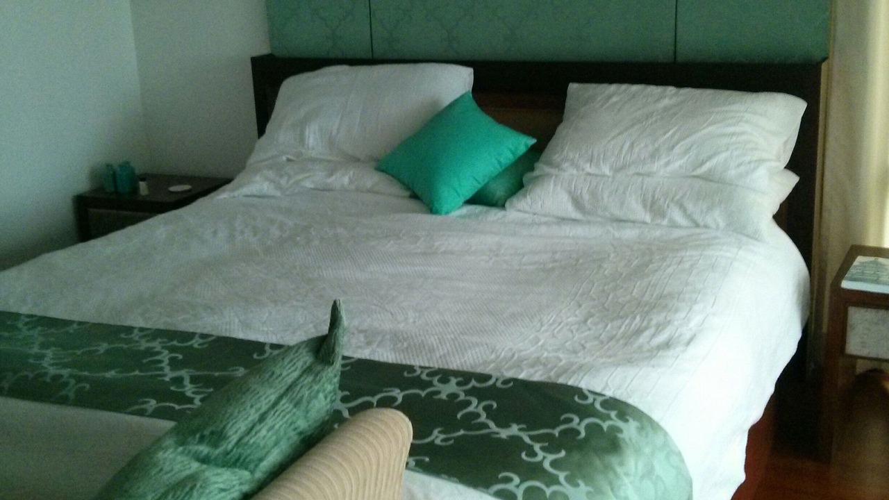 Photo of Bedroom in Wang Pong
