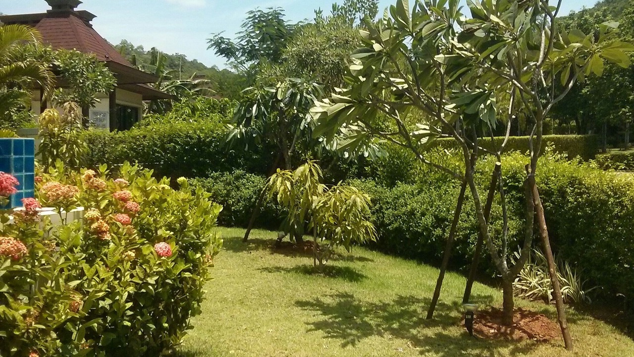 Photo of Outdoor in Wang Pong