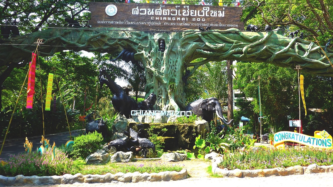 Photo of Others in San Sai