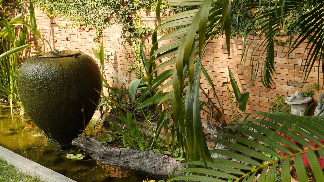 Photo of Outdoor in Hang Dong