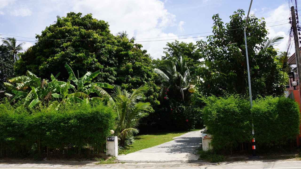 Photo of Outdoor in Wok Tum