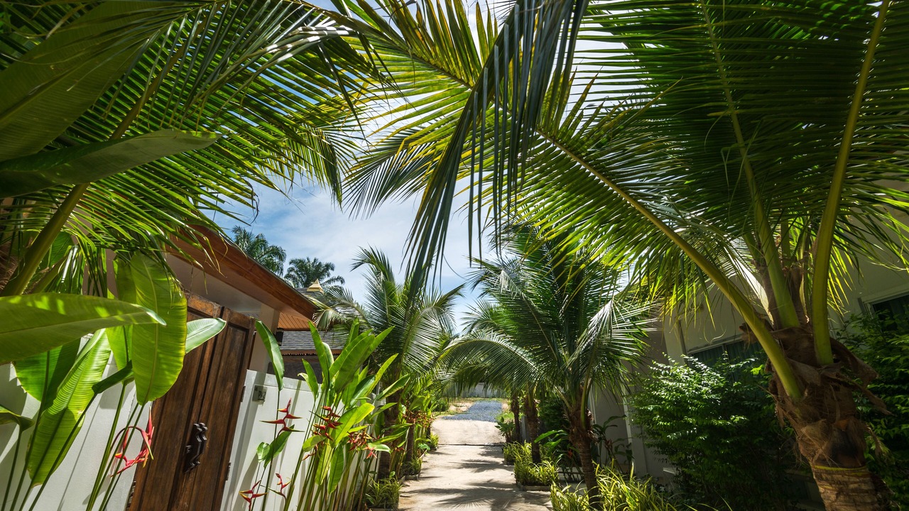 Photo of Outdoor in Krabi