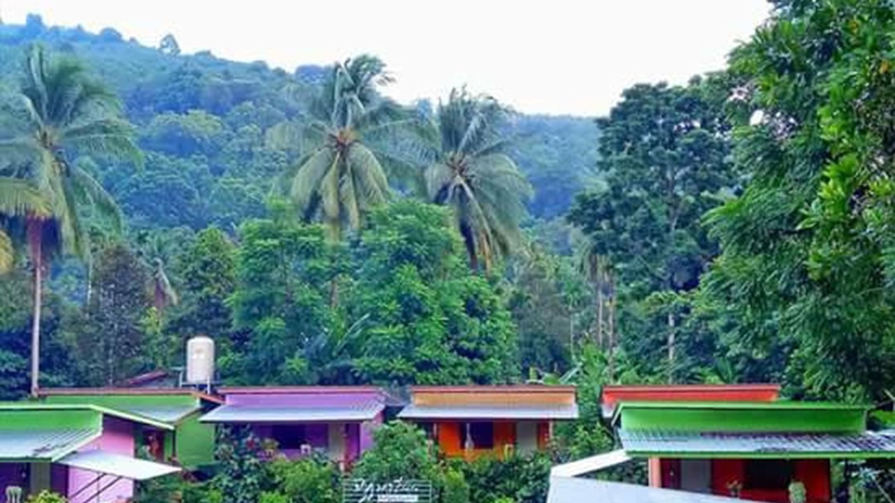 Photo of Outdoor in Kamlon